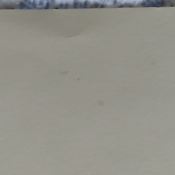 Bird print from the milwaukee public library. - Picture 8 of 8